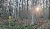 Trail Walking Lisors - Lisors - Le bois Préau, la marre aux bourre - Photo 12