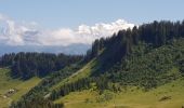 Randonnée Marche Taninges - le haut Fleury - Photo 2