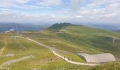 Tocht Stappen Albepierre-Bredons - Le Plomb du Cantal - Photo 14