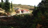 Trail On foot Unknown - Ι. Μ. Εσφιγμένου - Καρυές (Δρόμος του Μπέη) - Photo 4