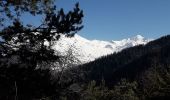 Randonnée Raquettes à neige Valloire - col du Télégraphe  - Photo 1