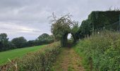 Tour Wandern Dalhem - A la découverte de Neufchâteau 🥾 - Photo 6