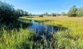 Tour Zu Fuß Moret-Loing-et-Orvanne - La basse vallée du Lunain version 30 km - Photo 13