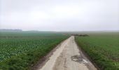 Randonnée Marche Anhée - La promenade des pelouses calcaires  - Photo 16