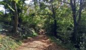 Trail Walking Vienne - 2023-10-08 - St Alban les Vignes - La Balme -  Les Barres - Photo 7