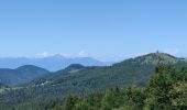 Tour Wandern Dobrova-Polhov Gradec - A la découverte du parc Polhograjski Dolomiti 🥾 - Photo 11