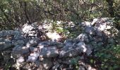 Tour Wandern Aspères - aspere - Photo 11