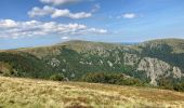 Trail Walking La Bresse - Autour du Hohneck - Photo 5