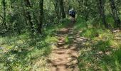 Trail Walking Montauroux - z le bas défens à Montauroux 23-05-23 - Photo 2