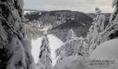 Tour Schneeschuhwandern Cornimont - Raquettes   LE BRABANT - Photo 3