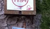 Trail On foot Wadern - Von Felsen und Burgen - Photo 4