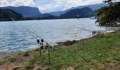 Trail Walking Bled - bled - tour du lac - Photo 15