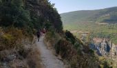Tour Wandern La Palud-sur-Verdon - le sentier Blanc Martel (Gorges du Verdon ) - Photo 10