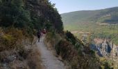 Tocht Stappen La Palud-sur-Verdon - le sentier Blanc Martel (Gorges du Verdon ) - Photo 10