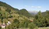 Percorso A piedi Sconosciuto - Moieciu de Sus - Șaua Batrâna - Hotel Peștera - Photo 2