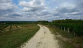 Trail Walking Civray-de-Touraine - Civray-de-Touraine - boucle Thoré de 12.6km et boucle Civray de 6km - 18.6km 190m 4h25 - 2023 08 16 - Photo 2