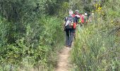 Trail Walking Villeneuvette - Villeneuvette Mourèze - Photo 12