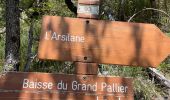 Percorso Marcia Lieucia - Grand Pallier - Photo 2
