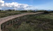 Excursión Senderismo Fréjus - Tour des étangs de Villepey - Photo 7