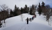 Randonnée Raquettes à neige Autrans-Méaudre en Vercors - La Grande Brèche - La Buffe - La Sure (2022) - Photo 7