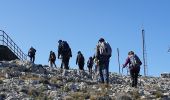 Trail Walking Le Revest-les-Eaux - Le Mont Caume - Photo 11