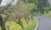 Excursión Senderismo Sarria - Sarria Portomarin  - Photo 20