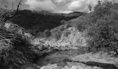 Excursión Senderismo Roquebrune-sur-Argens - Roquebrune sur Argent - Château de La Mère - Le Fournel - Photo 7