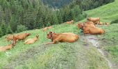 Tour Wandern Beaufort - REFUGE DE LA COIRE DEPUIS LE LAC DE SAINT GUERIN - Photo 1