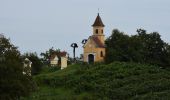 Tocht Te voet Feldbach - Gleichenberger Bahn-Wanderweg - Photo 6