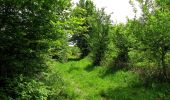 Tour Wandern Coyolles - en forêt de Retz_78_les rayons du Rond Capitaine - Photo 3