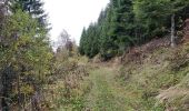 Tocht Stappen Arâches-la-Frasse - La Grasse les granges, l'Artoche, la combe, les sommaires, retour par la Presse, la mouille - Photo 1