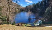 Tour Wandern Rimbach bei Masmünster - Rimbach - lacs du Neuweiher et des Perches par Rouge Gazon - Photo 5