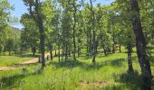 Trail Walking Belgentier - Pas de Belgentier  - Photo 9