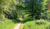 Trail Walking Vielsalm - cahay - bèchefa , retour  - Photo 17