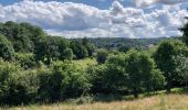 Trail Walking Ciney - Chevetogne 280622 - Photo 18
