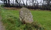 Tour Wandern Crozon - GR34  Morgat. --  Pentrez - Photo 4