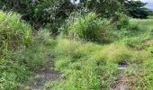 Tour Wandern Le Lorrain - La Crabiere 2 - Photo 9