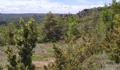 Trail Walking La Roque-Sainte-Marguerite - Roquesalte depuis la roque st marguerite - Photo 8