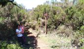 Tour Wandern Ribeira da Janela - Levada dos Cedros - Photo 7