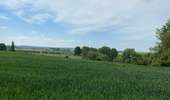 Trail Walking Enghien - Enghien 16 km - Photo 8