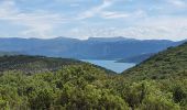 Tocht Stappen Baudinard-sur-Verdon - BAUDINARD  MONPEZAT - Photo 8