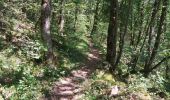 Trail Walking Contamine-Sarzin - Contamine Sarzin Cascade Barbannaz - Photo 5