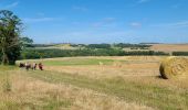 Tour Wandern Épaux-Bézu - Epaux-Bézu du 28-07-2024 - Photo 1