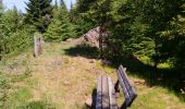 Randonnée Marche nordique Sainte-Marie-aux-Mines - col Ste Marie aux Mines / Point de vue Soremont / Tête du Violu  - Photo 13