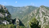 Tour Wandern Gorbio - Gorbio Ste-Agnès - Cime de Baudon - Photo 10