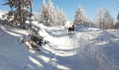 Tour Wandern Basse-sur-le-Rupt - piquante Pierre col menufosse roche des chats  - Photo 17