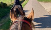 Tour Reiten Fréménil - Kalio tiboy - Photo 1