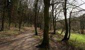 Tour Zu Fuß Witten - Bergbauwanderweg Muttental - Photo 6