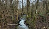 Tour Wandern Somme-Leuze - rando nettinne 2-02-2024 - Photo 9