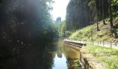 Tour Zu Fuß Hohnstein - Großer Rundweg - Photo 9